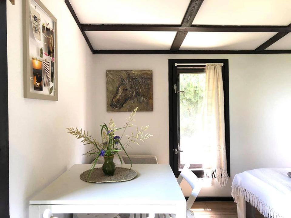 Apartamenty Lajkonik Dąbrówno Екстериор снимка