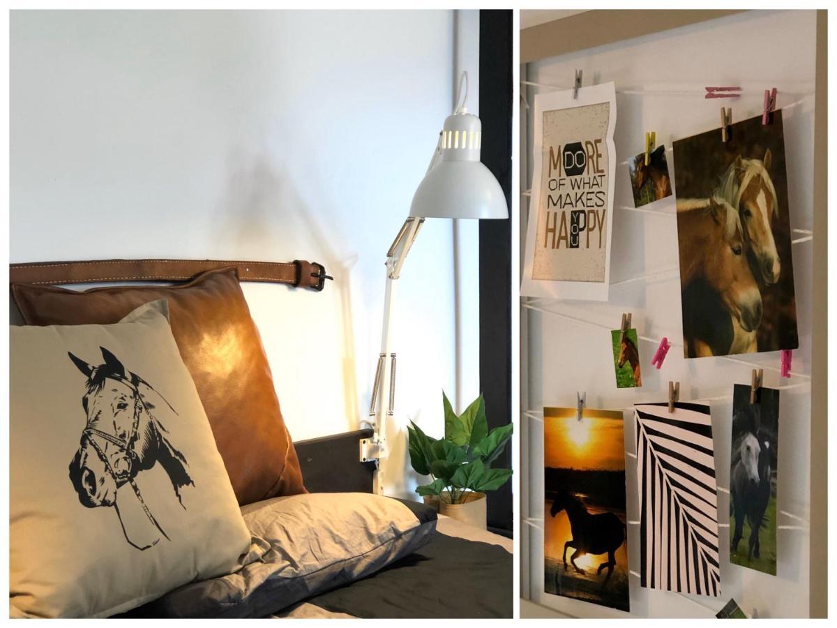 Apartamenty Lajkonik Dąbrówno Екстериор снимка